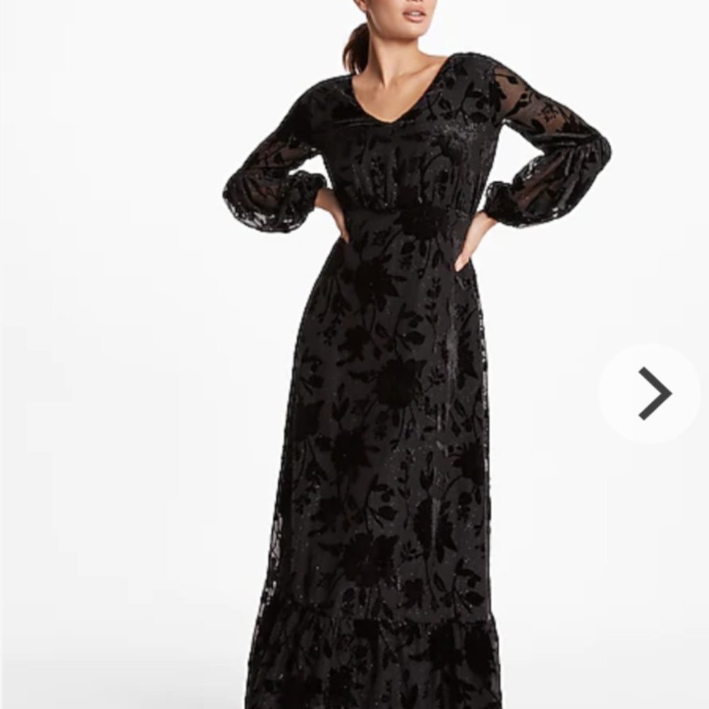 Velvet Burnout Floral Maxi Dress NWT Express